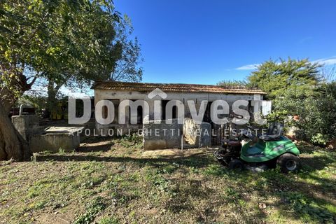 Landejendom i Capalbio, Grosseto, Capalbio - € 1.800.000 | Ref: V-0008 - foto 11