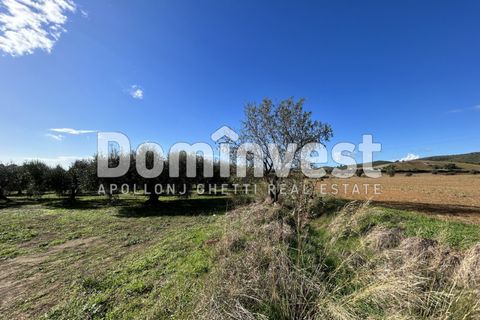 Landejendom i Capalbio, Grosseto, Capalbio - € 1.800.000 | Ref: V-0008 - foto 12