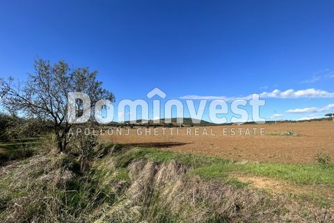 Landejendom i Capalbio, Grosseto, Capalbio - € 1.800.000 | Ref: V-0008 - foto 13