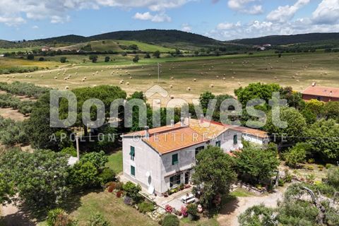 Landejendom i Capalbio, Grosseto, Capalbio - € 1.800.000 | Ref: V-0008 - foto 16