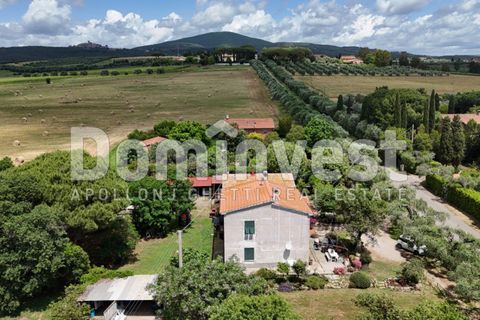 Landejendom i Capalbio, Grosseto, Capalbio - € 1.800.000 | Ref: V-0008 - foto 17