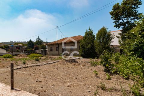 Villa i Cinfaes, Braga, Cinfaes - € 335.000 | Ref: 336/M/01545 - foto 4