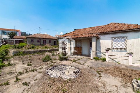 Villa i Cinfaes, Braga, Cinfaes - € 335.000 | Ref: 336/M/01545 - foto 5
