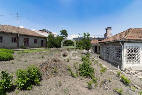 Villa i Cinfaes, Braga, Cinfaes - € 335.000 | Ref: 336/M/01545 - foto 8