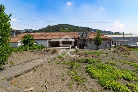 Villa i Cinfaes, Braga, Cinfaes - € 335.000 | Ref: 336/M/01545 - foto 11