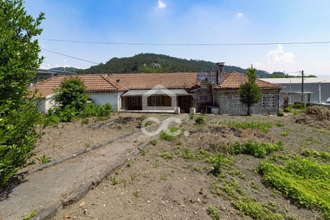 Villa i Cinfaes, Braga, Cinfaes - € 335.000 | Ref: 336/M/01545 - foto 12