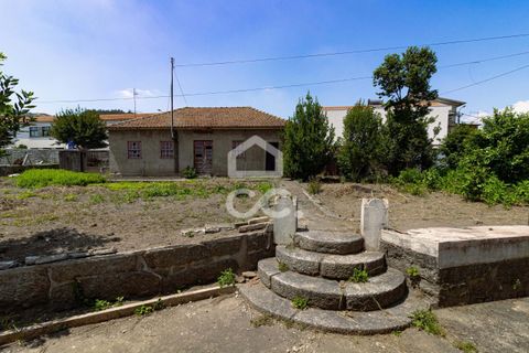 Villa i Cinfaes, Braga, Cinfaes - € 335.000 | Ref: 336/M/01545 - foto 13