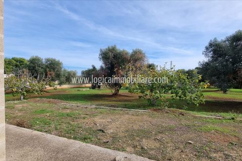 Villa i Carovigno, Brindisi, Carovigno - € 230.000 | Ref: VL339 - foto 3