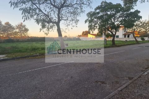 Helårsgrund i Cantanhede, Coimbra, Cantanhede - € 27.500 | Ref: C23027 - foto 5