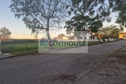 Helårsgrund i Cantanhede, Coimbra, Cantanhede - € 27.500 | Ref: C23027 - foto 6