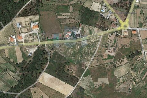 Helårsgrund i Mangualde, Viseu, Mangualde - € 400.000 | Ref: SÒL_911 (2) - foto 1