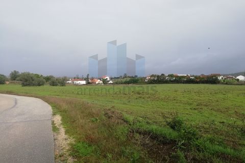 Terra a Vila Nova de Ancos, Coimbra, Vila Nova de Ancos - € 199.000 | Ref: PAR_462 (2) - foto 2
