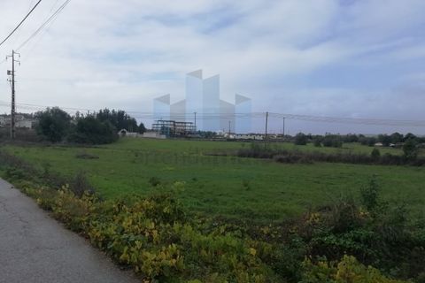 Terra a Vila Nova de Ancos, Coimbra, Vila Nova de Ancos - € 199.000 | Ref: PAR_462 (2) - foto 4