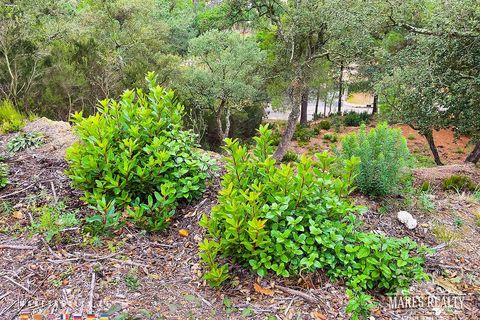 Helårsgrund i Lloret De Mar, Gerona, Lloret De Mar - € 47.000 | Ref: PAR0084 - foto 6