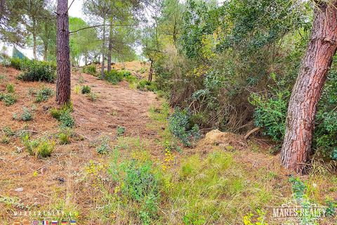 Helårsgrund i Lloret De Mar, Gerona, Lloret De Mar - € 47.000 | Ref: PAR0084 - foto 7