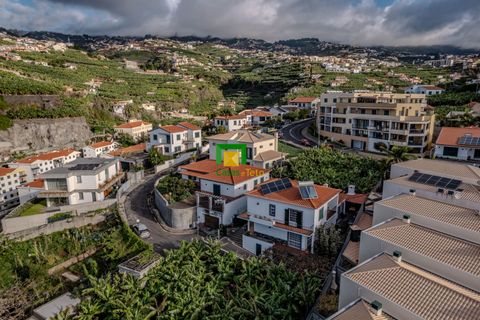 Villa i Camara de Lobos, Madeira, Camara de Lobos - € 790.000 | Ref: CT-1595/2023 - foto 37