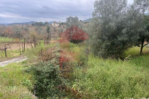 Helårsgrund i Vila Verde, Braga, Vila Verde - € 36.500 | Ref: 08205 - foto 2