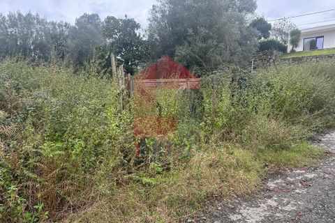 Helårsgrund i Vila Verde, Braga, Vila Verde - € 36.500 | Ref: 08205 - foto 5