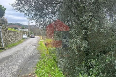 Helårsgrund i Vila Verde, Braga, Vila Verde - € 36.500 | Ref: 08205 - foto 6