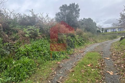 Helårsgrund i Vila Verde, Braga, Vila Verde - € 36.500 | Ref: 08205 - foto 8
