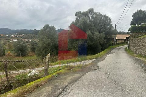Helårsgrund i Vila Verde, Braga, Vila Verde - € 36.500 | Ref: 08205 - foto 9