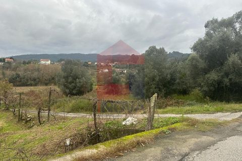 Helårsgrund i Vila Verde, Braga, Vila Verde - € 36.500 | Ref: 08205 - foto 10