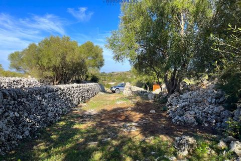 Landejendom i Avola, Siracusa, Avola - € 180.000 | Ref: 920 - foto 13