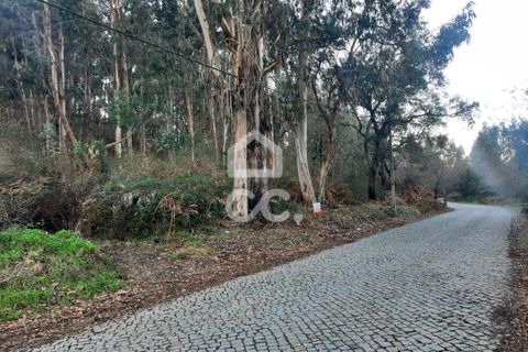 Helårsgrund i Lousada, Porto, Lousada - € 45.000 | Ref: 365/T/02699 - foto 5