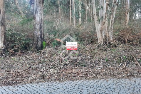 Helårsgrund i Lousada, Porto, Lousada - € 45.000 | Ref: 365/T/02699 - foto 6