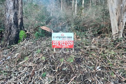 Helårsgrund i Lousada, Porto, Lousada - € 45.000 | Ref: 365/T/02699 - foto 7