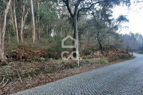 Helårsgrund i Lousada, Porto, Lousada - € 45.000 | Ref: 365/T/02699 - foto 8
