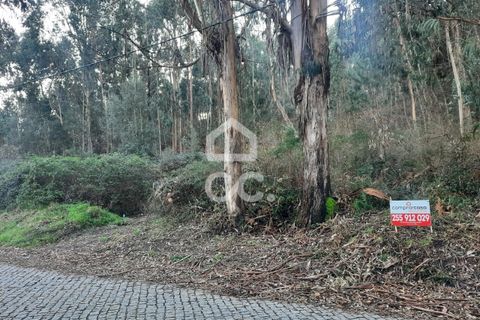 Helårsgrund i Lousada, Porto, Lousada - € 45.000 | Ref: 365/T/02699 - foto 10