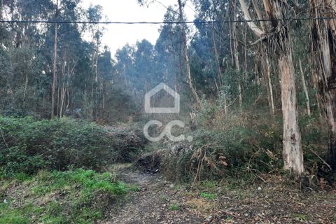 Helårsgrund i Lousada, Porto, Lousada - € 45.000 | Ref: 365/T/02699 - foto 11