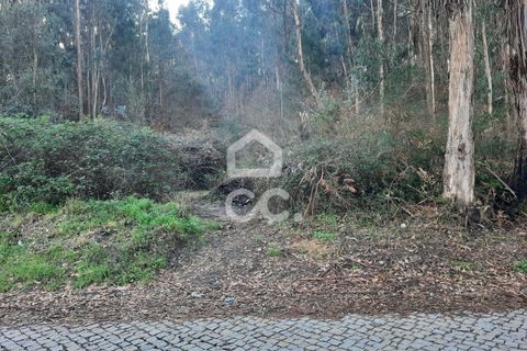 Helårsgrund i Lousada, Porto, Lousada - € 45.000 | Ref: 365/T/02699 - foto 12