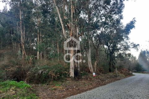 Helårsgrund i Lousada, Porto, Lousada - € 45.000 | Ref: 365/T/02699 - foto 13