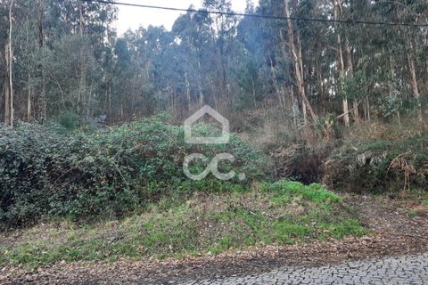 Helårsgrund i Lousada, Porto, Lousada - € 45.000 | Ref: 365/T/02699 - foto 14