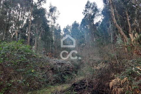 Helårsgrund i Lousada, Porto, Lousada - € 45.000 | Ref: 365/T/02699 - foto 15