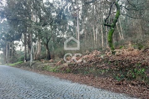 Helårsgrund i Lousada, Porto, Lousada - € 45.000 | Ref: 365/T/02699 - foto 17