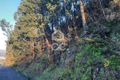 Helårsgrund i Lousada, Porto, Lousada - € 45.000 | Ref: 365/T/02699 - foto 18