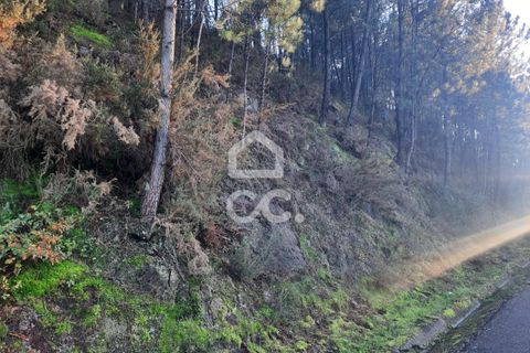 Helårsgrund i Lousada, Porto, Lousada - € 45.000 | Ref: 365/T/02699 - foto 19