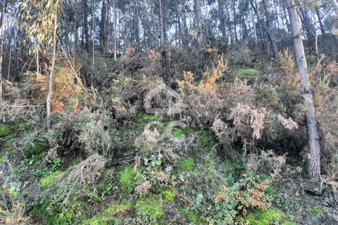 Helårsgrund i Lousada, Porto, Lousada - € 45.000 | Ref: 365/T/02699 - foto 20