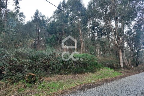 Helårsgrund i Lousada, Porto, Lousada - € 45.000 | Ref: 365/T/02699 - foto 21