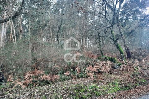 Helårsgrund i Lousada, Porto, Lousada - € 45.000 | Ref: 365/T/02699 - foto 22