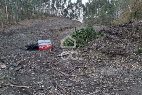 Helårsgrund i Lousada, Porto, Lousada - € 45.000 | Ref: 365/T/02699 - foto 3