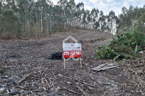 Helårsgrund i Lousada, Porto, Lousada - € 45.000 | Ref: 365/T/02699 - foto 4