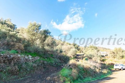 Terreno en Torrox, Malaga, Torrox - € 84.000 | Ref: TP117 - photo 1