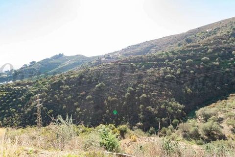 Terreno en Torrox, Malaga, Torrox - € 84.000 | Ref: TP117 - photo 2