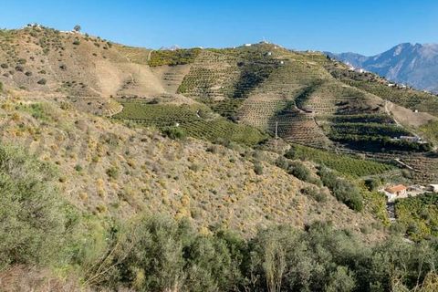 Tomt i Torrox, Malaga, Torrox - € 156 000 | Ref: TP115 - foto 2