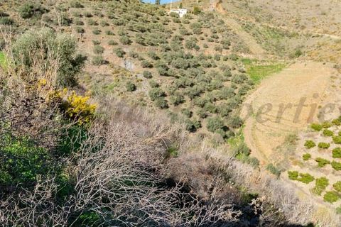 Tomt i Torrox, Malaga, Torrox - € 156 000 | Ref: TP115 - foto 4