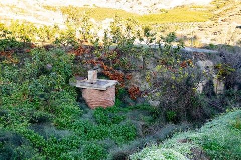 Tomt i Torrox, Malaga, Torrox - € 156 000 | Ref: TP115 - foto 7